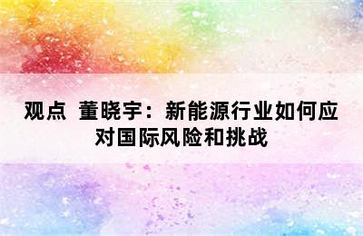 观点  董晓宇：新能源行业如何应对国际风险和挑战